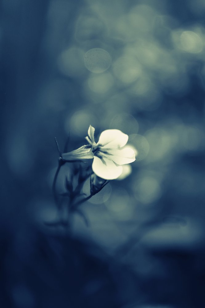 Photograph by Maryna Sydorova