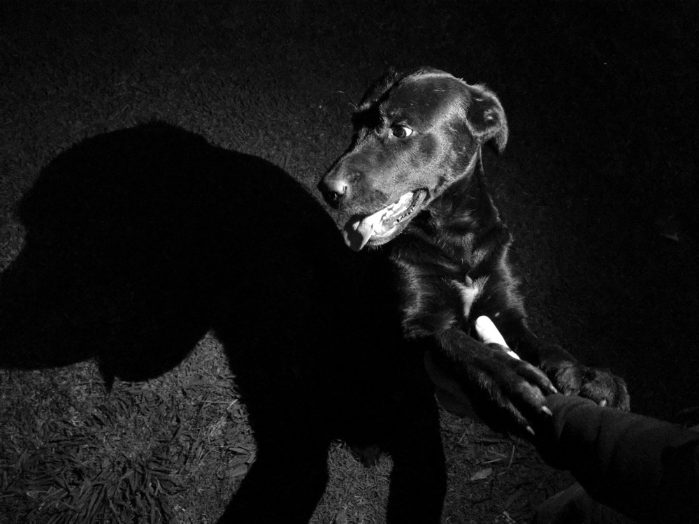 Photograph by Ирина Алексеевская