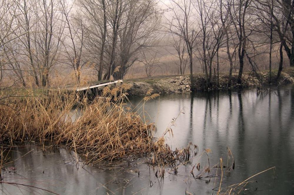 Photograph by Alexandr Dimitrov