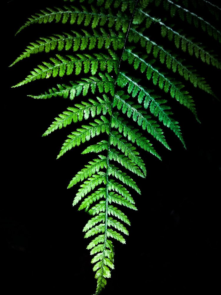 Фотография автора Оля Алехнович