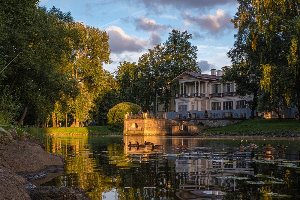 Photograph by Артём Селезнёв