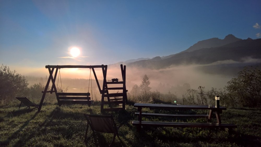 Photo #5165450