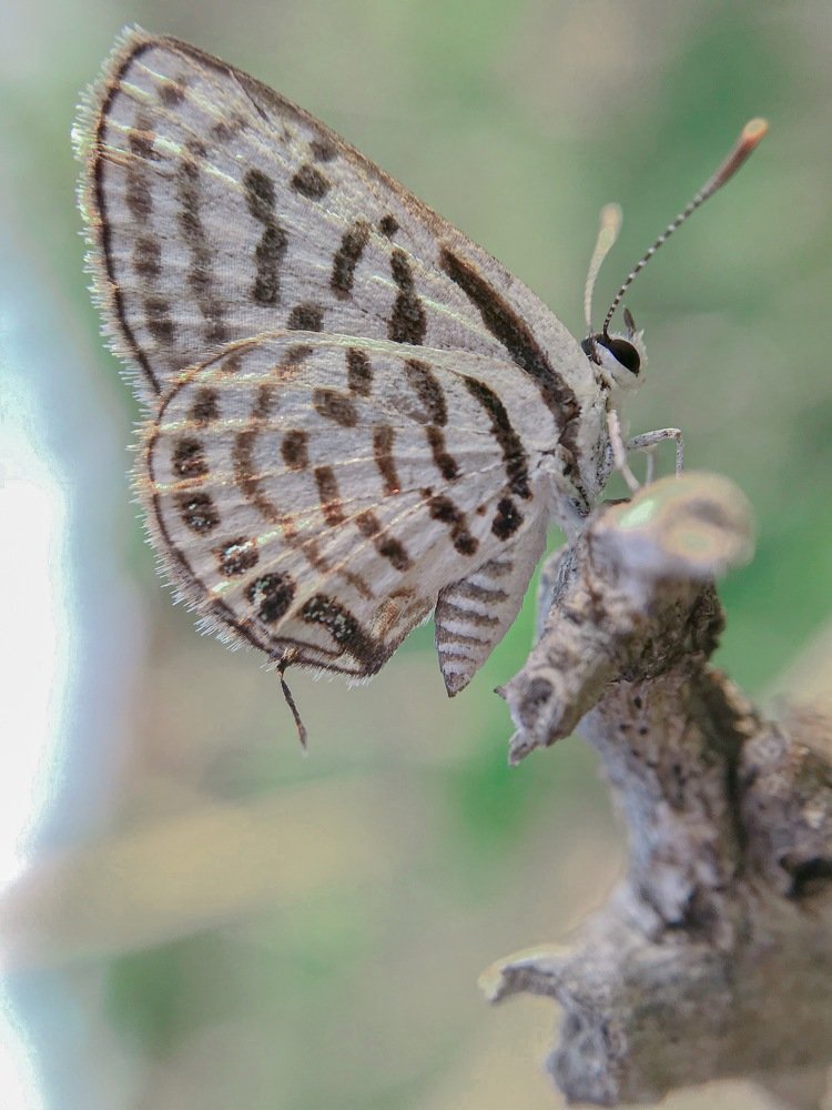 Photograph by Hemanth Reddy Devireddy