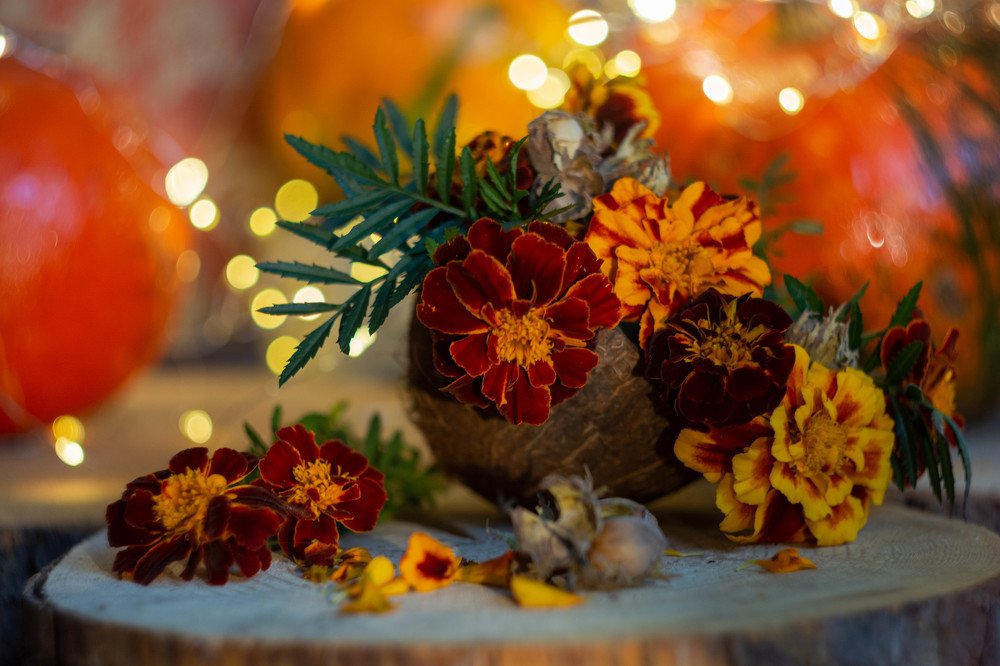 Photograph by Татьяна Конопацкая