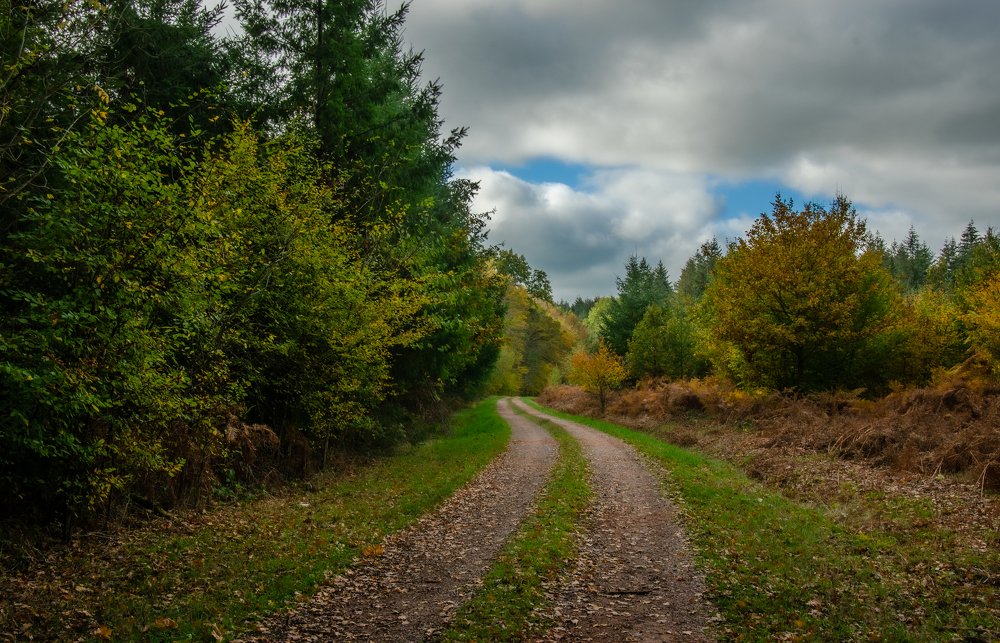 Photograph by LYUDMYLA POKRYSHEN