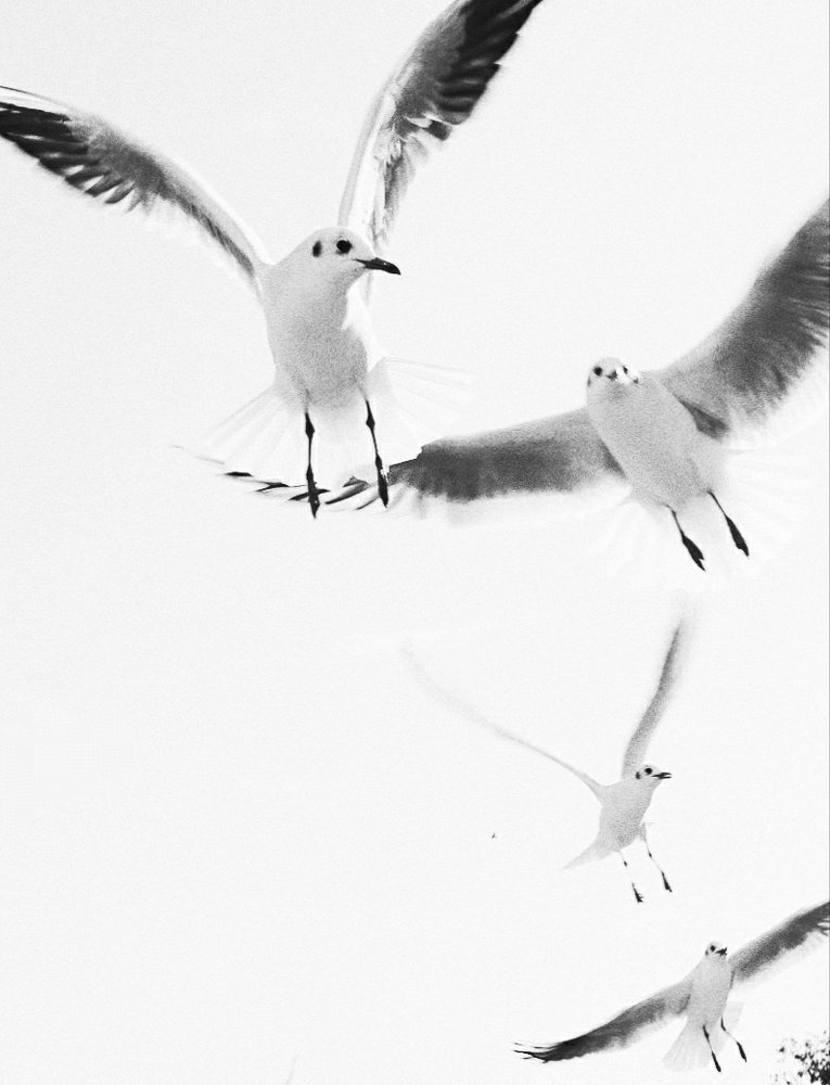 Photograph by Ксения Щербакова