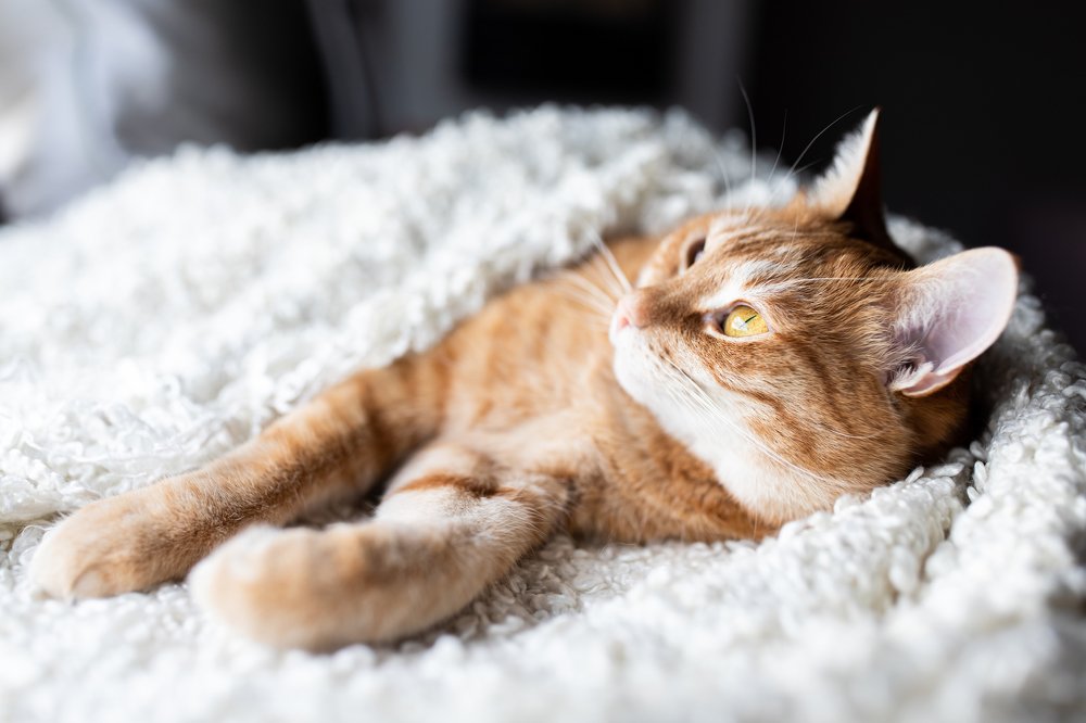 Photograph by Анастасия Сошенкова