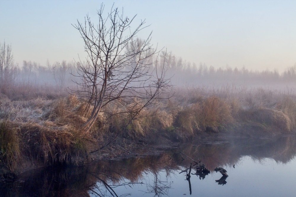 Photograph by Вячеслав Пивоваров