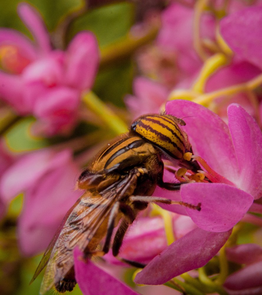 Photograph by Kwadwo Antwi Debrah