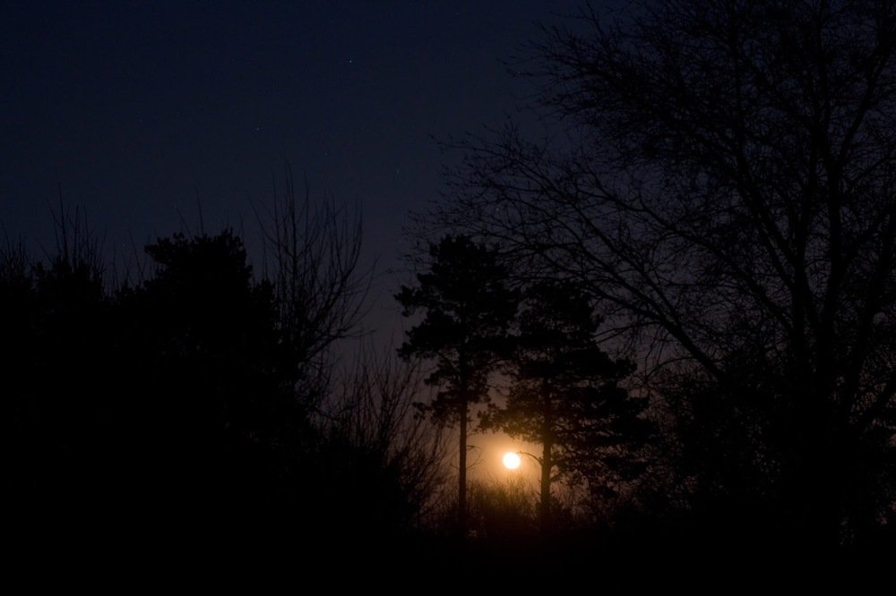 Photograph by Вячеслав Пивоваров