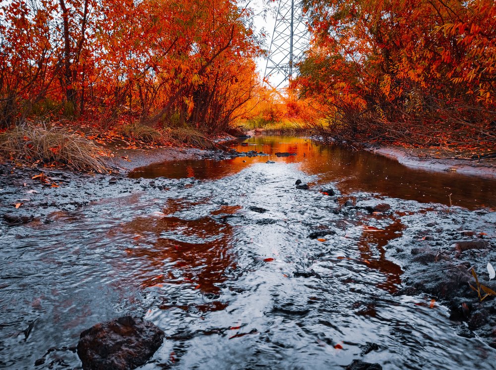 Photograph by Вячеслав Пивоваров