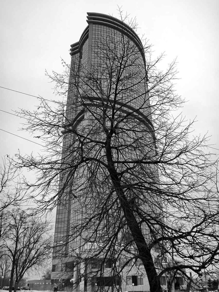 Photograph by Игорь Пшеничников