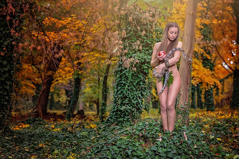 Фотография автора Bogdan Negoita