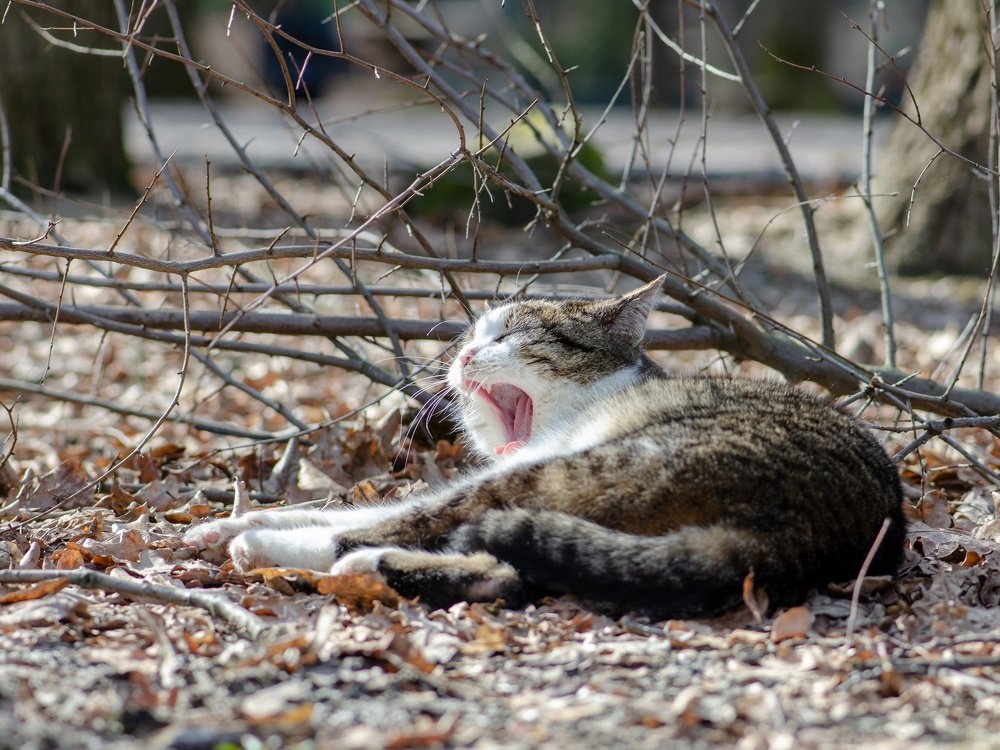 Photograph by Nataliya Sharifova