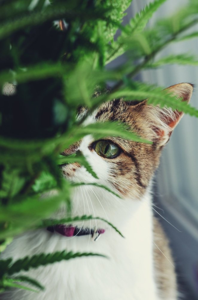 Photograph by Nataliya Sharifova