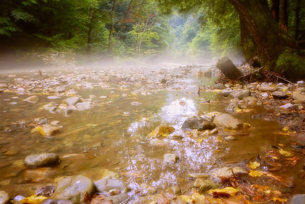 Фотография автора Bogdan Negoita