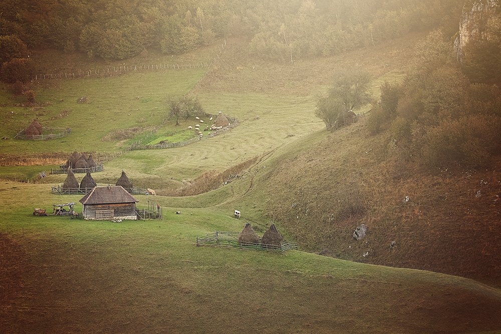 Фотография автора Bogdan Negoita