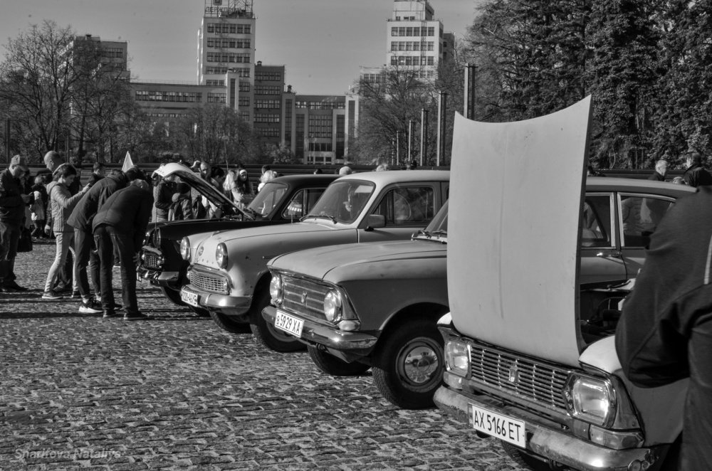 Photograph by Nataliya Sharifova