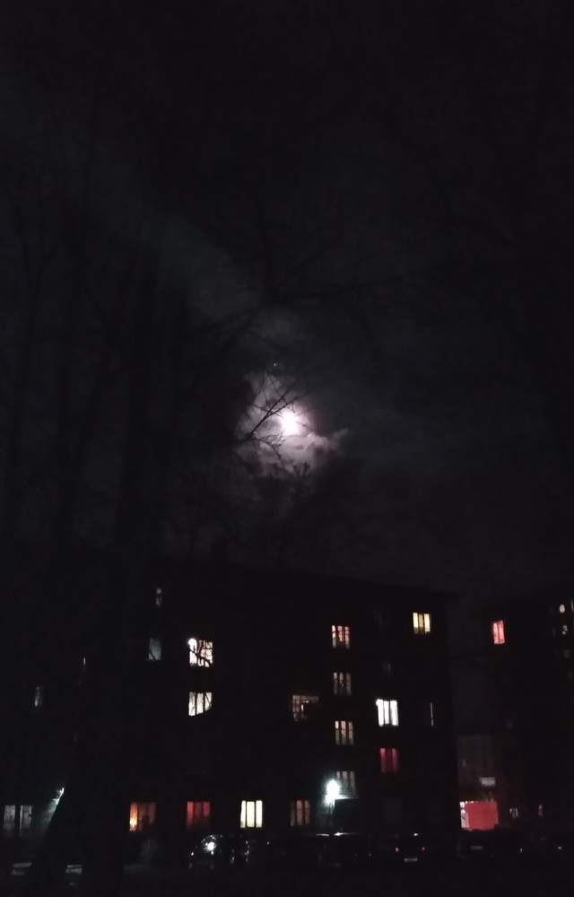 Photograph by Елена Малкова