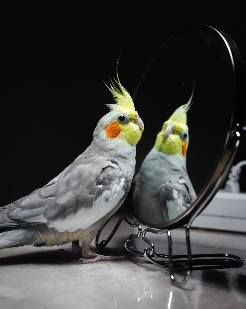 Фотография автора RW