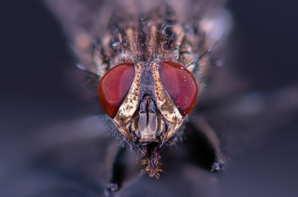 Photograph by Евгений