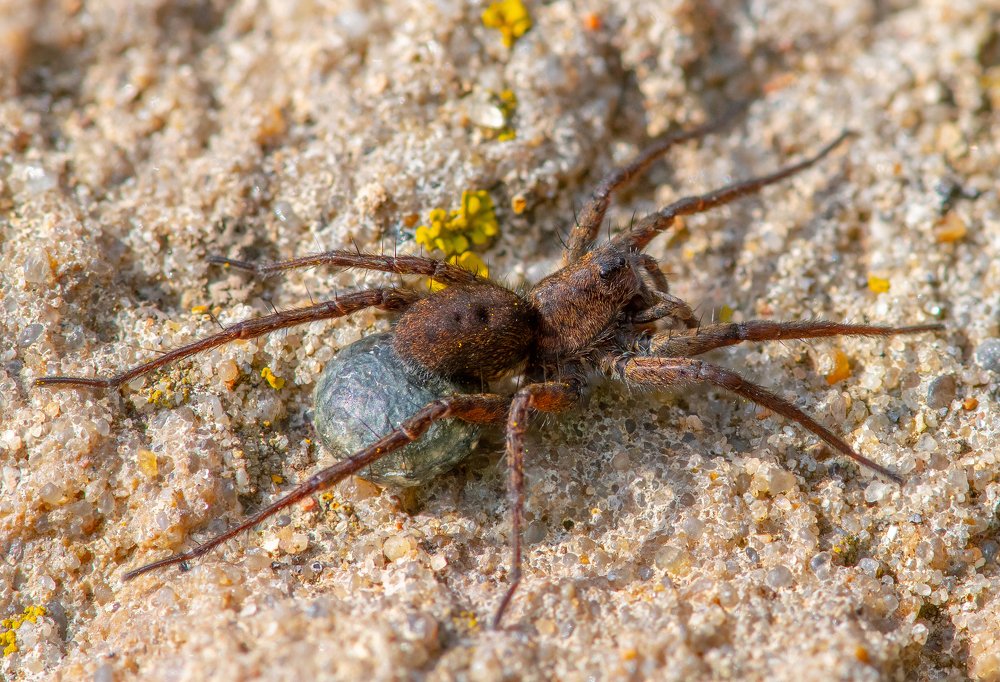 Photograph by Евгений