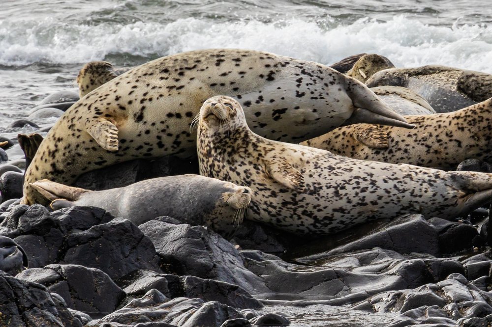 Photograph by Игорь Калинин