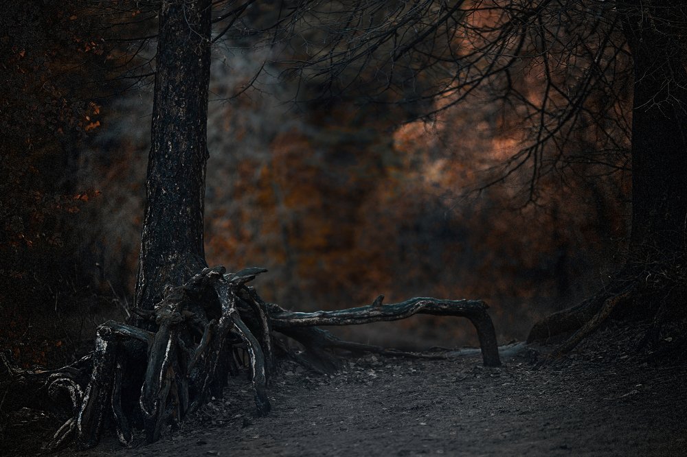 Photograph by LIDIYA HOLD