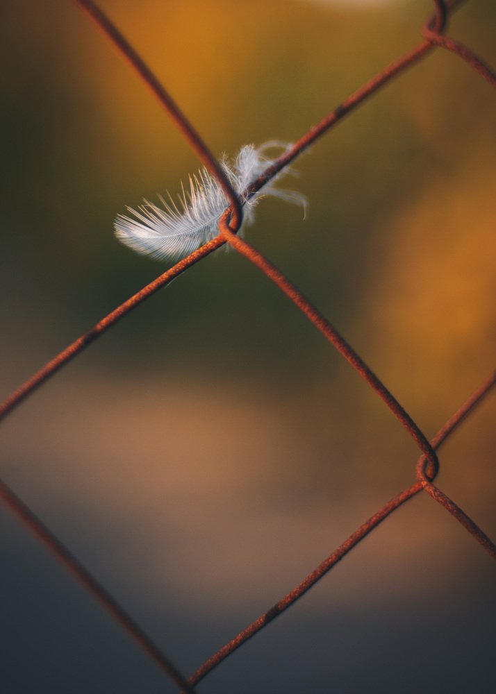 Минимализм