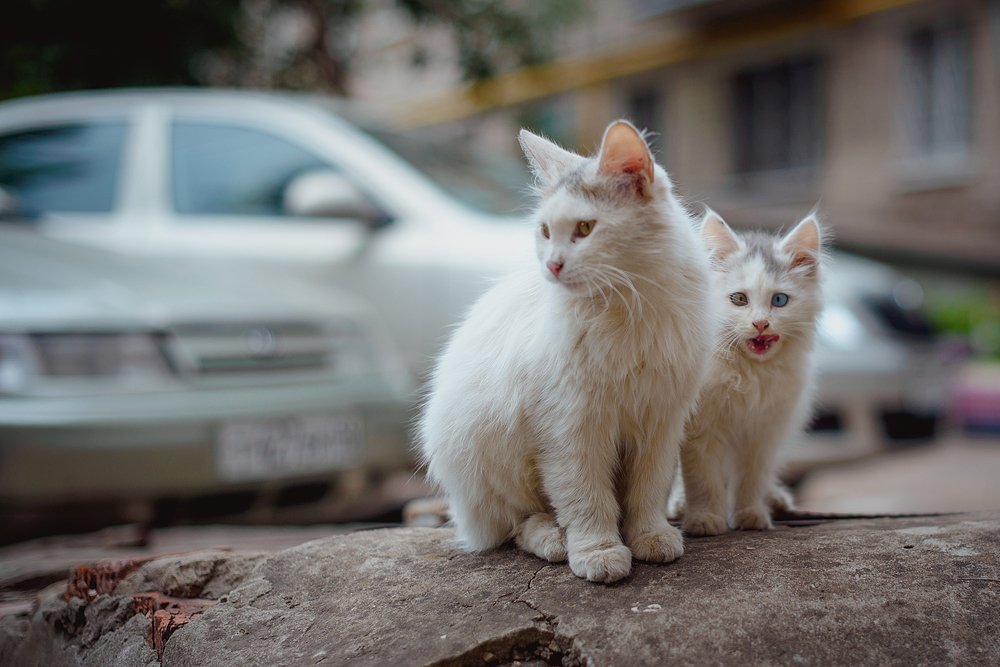 Photograph by Марина Петухова