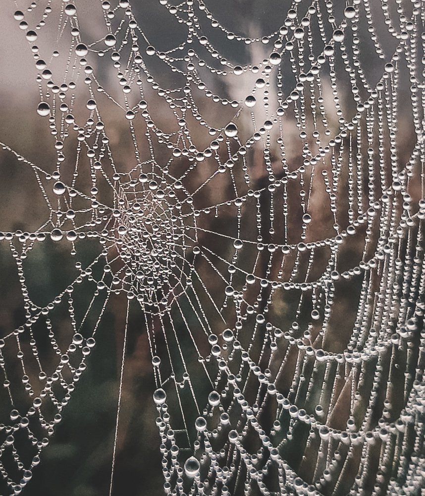 Photograph by Вера Силкина