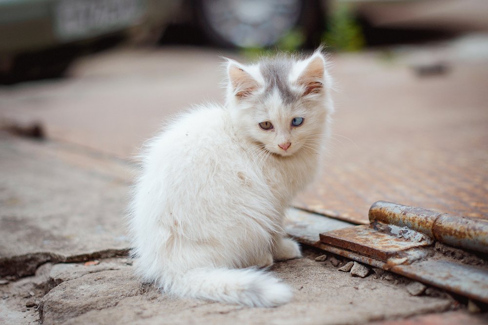 Photograph by Марина Петухова