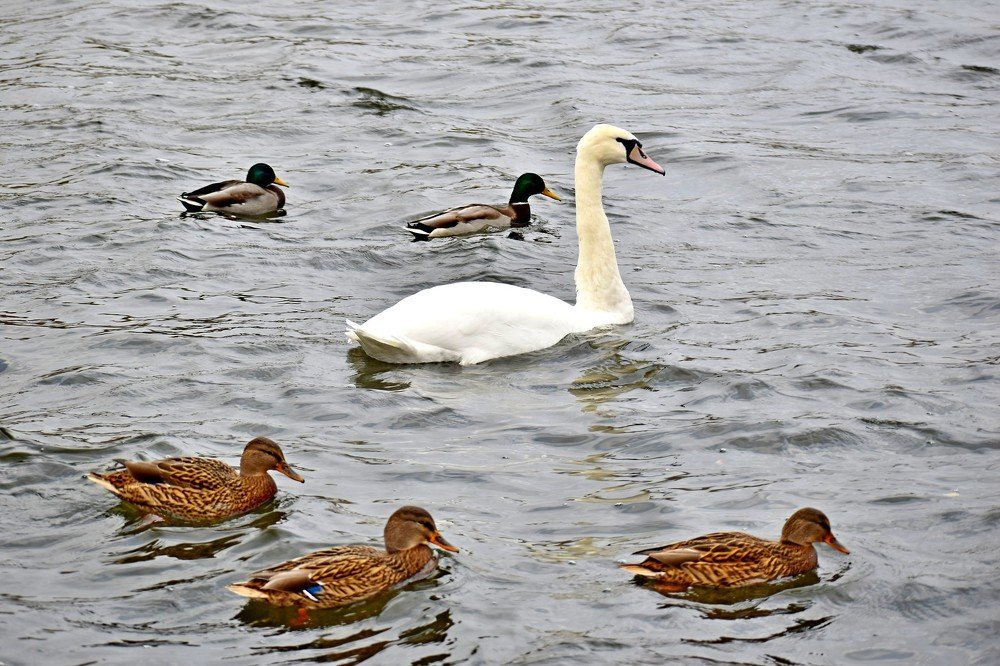 Photograph by Валерий Талейко