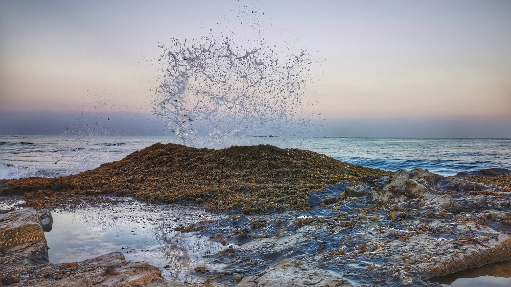 Photograph by Kobbie Pessach