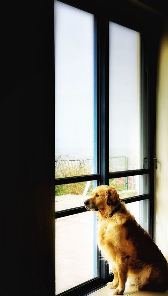 Photograph by Kobbie Pessach