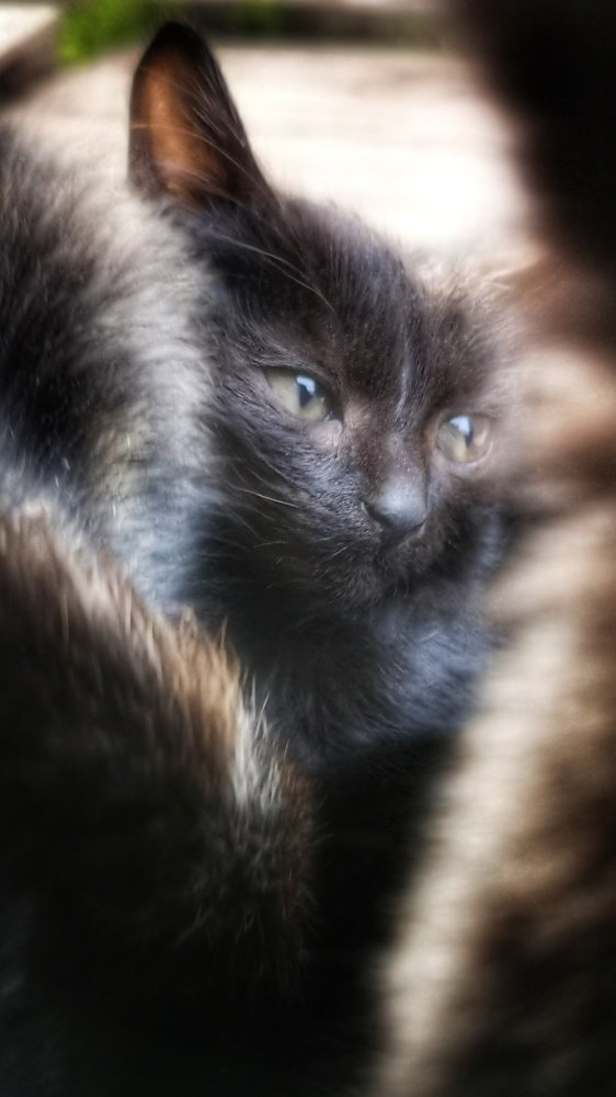 Photograph by Kobbie Pessach