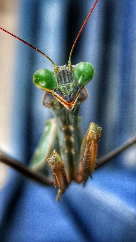 Photograph by Kobbie Pessach