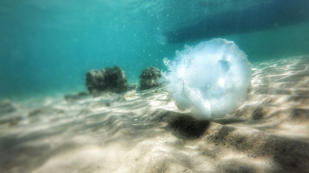 Photograph by Kobbie Pessach