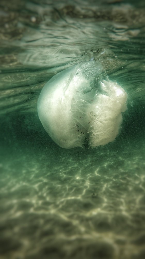 Photograph by Kobbie Pessach