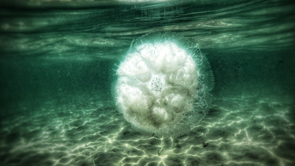 Photograph by Kobbie Pessach