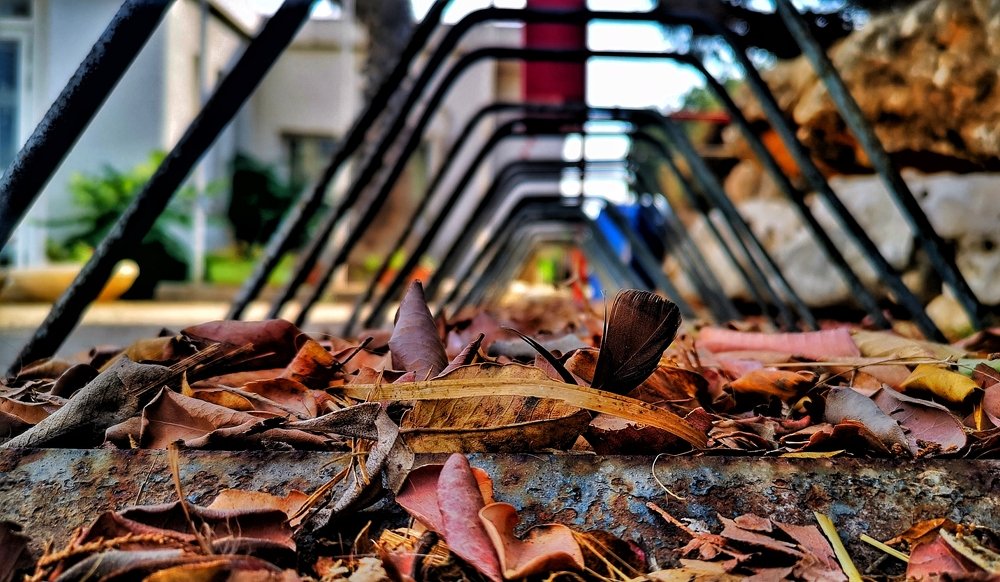 Photograph by Kobbie Pessach