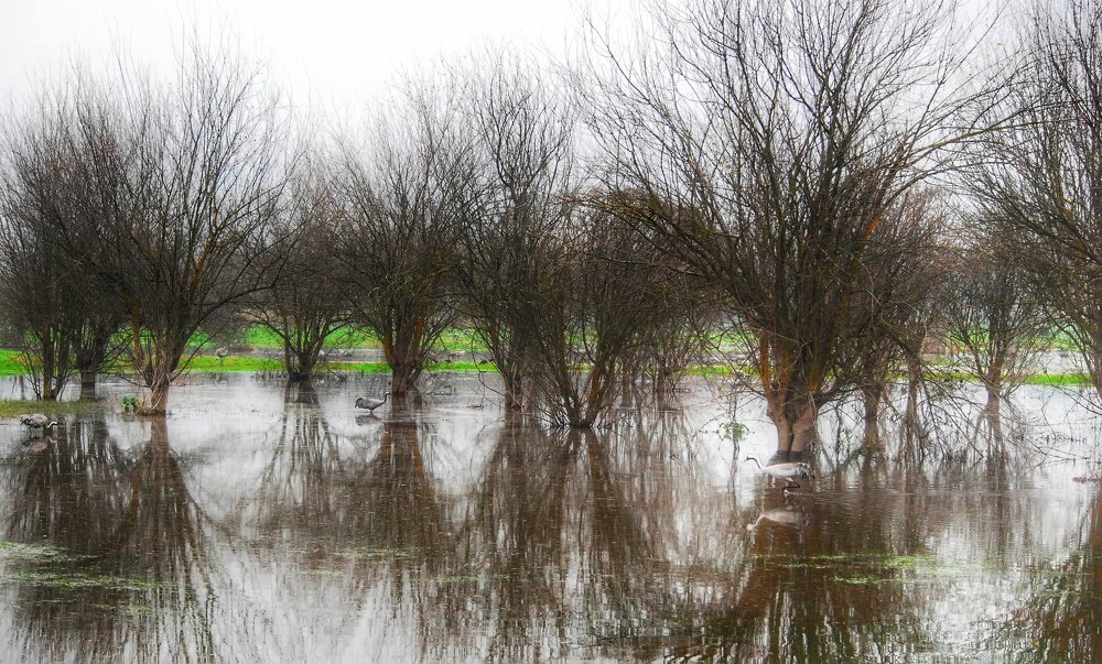 Photograph by Kobbie Pessach