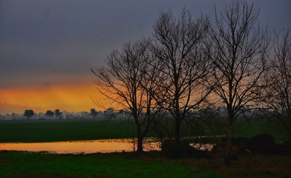 Photograph by Kobbie Pessach