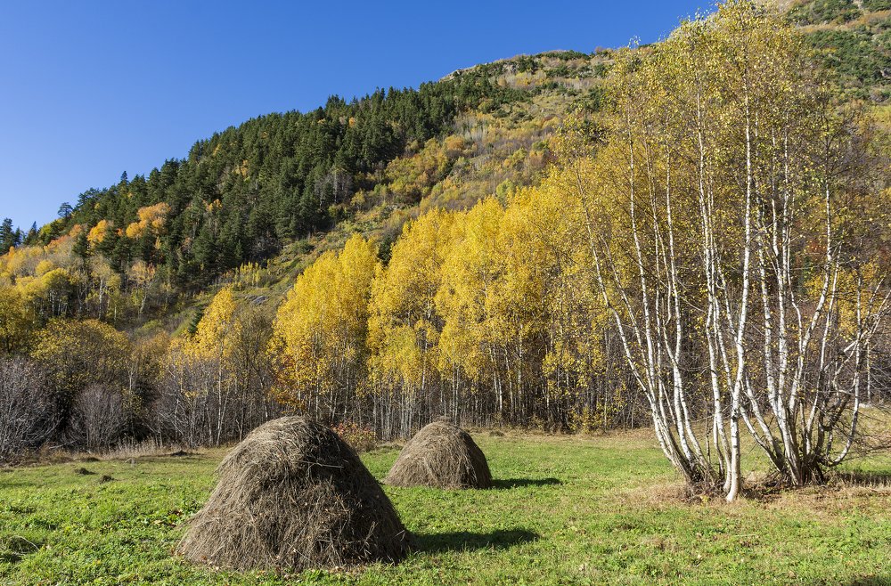 Photograph by Дмитрий Новоселов