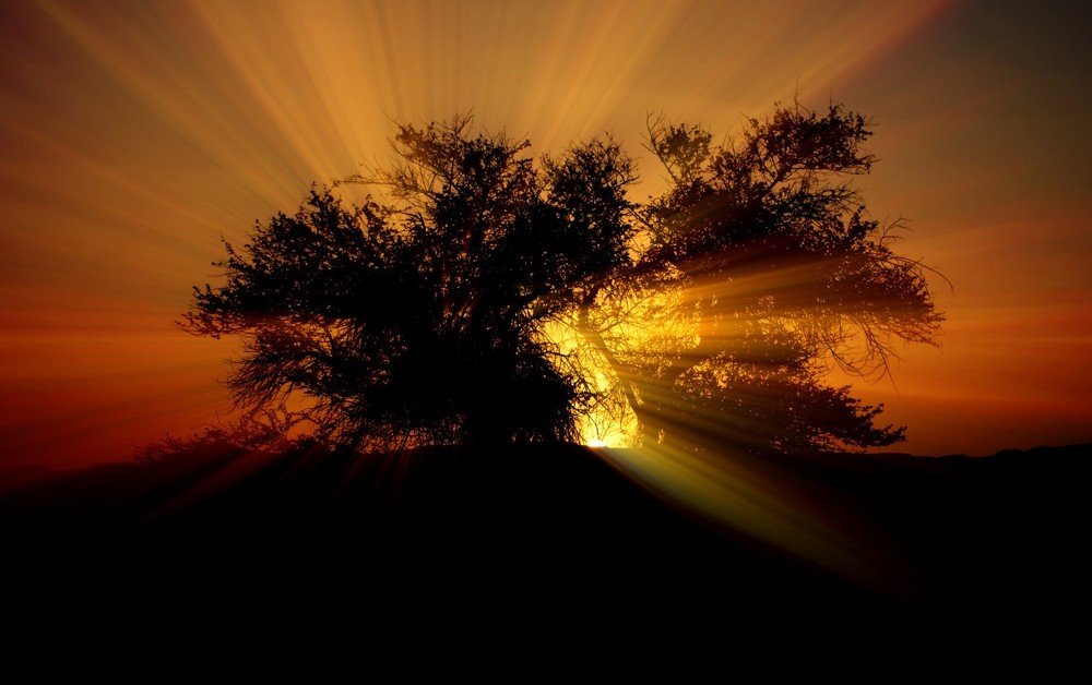 Photograph by Kobbie Pessach