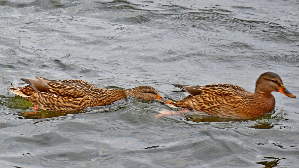 Photograph by Валерий Талейко