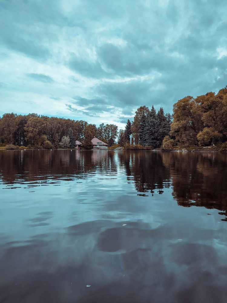 Photograph by Ольга