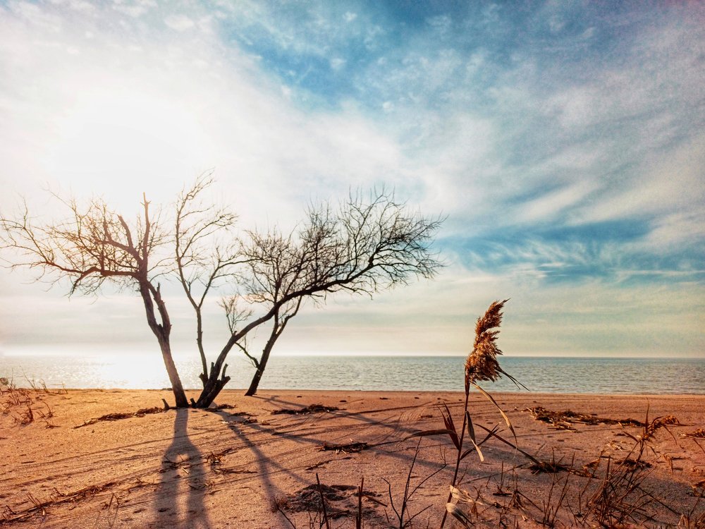 Photograph by Владимир Момот