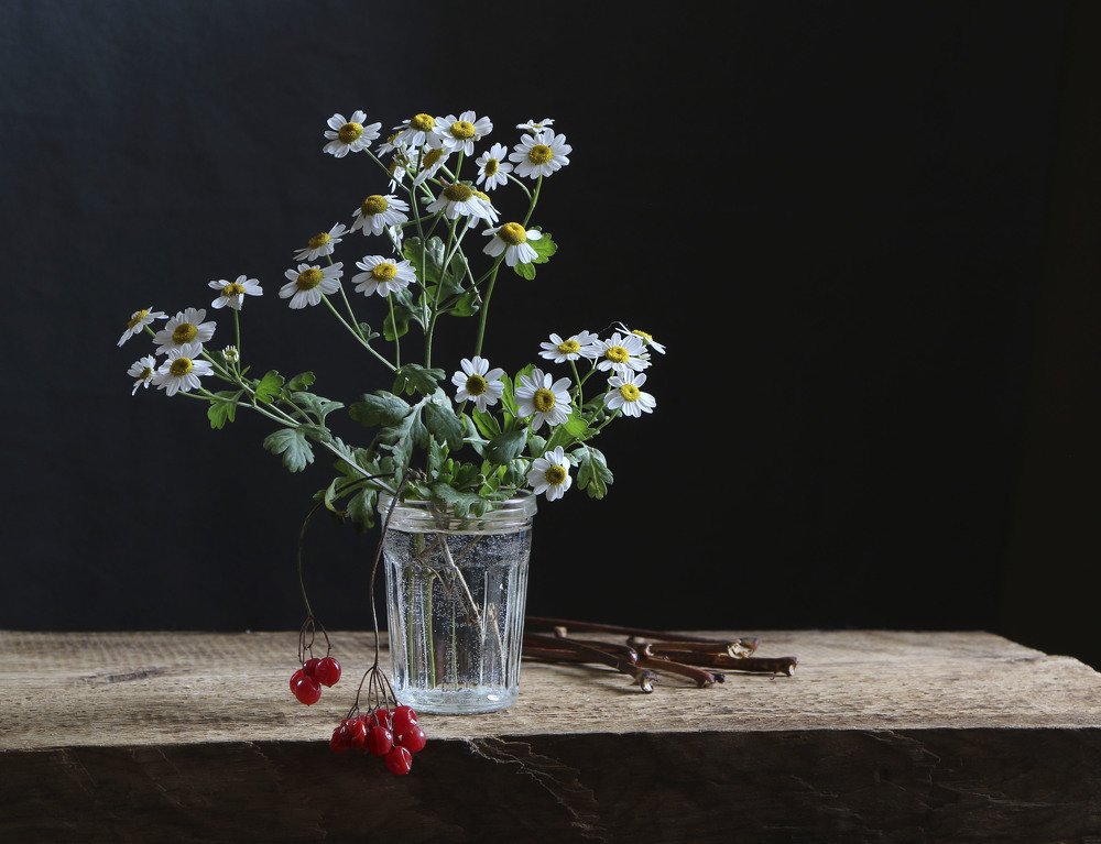 Photograph by Татьяна Панчешная