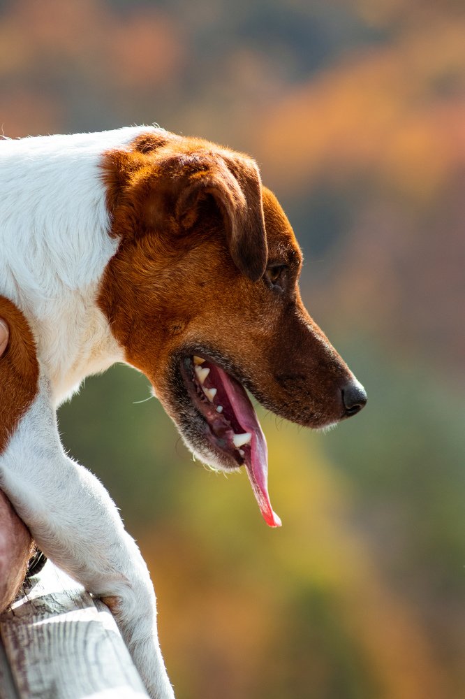 Photograph by Дамир Давронов